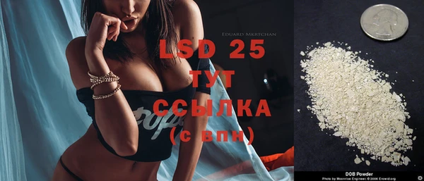 хмурый Семилуки