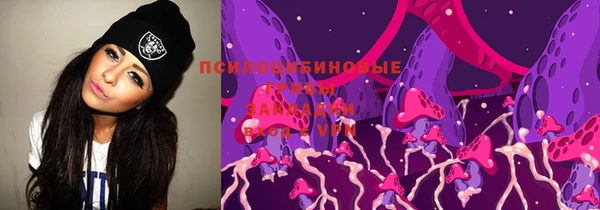дживик Семикаракорск